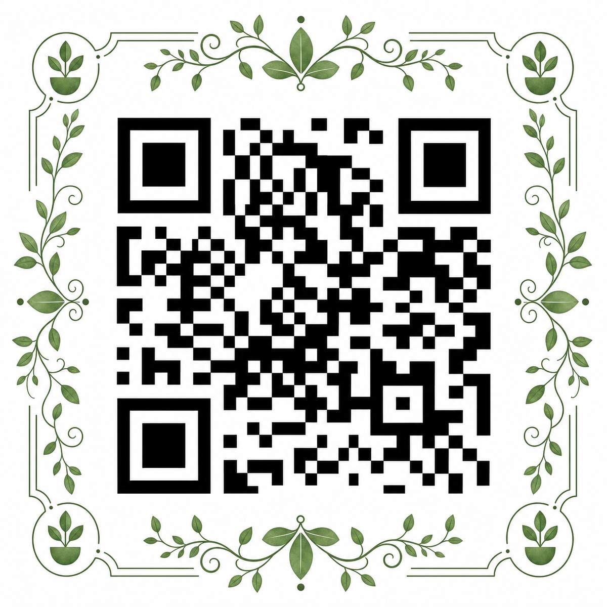 蘑菇视频公众号二维码